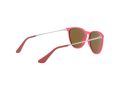 Ray-Ban Junior Erika Gafas de Sol RJ 9060S 7009/6Q