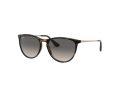 Ray-Ban Junior Erika Gafas de Sol RJ 9060S 7049/11