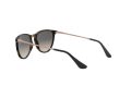 Ray-Ban Junior Erika Gafas de Sol RJ 9060S 7049/11