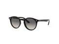 Ray-Ban Gafas de Sol RJ 9064S 100/11