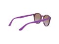 Ray-Ban Gafas de Sol RJ 9064S 7064/68