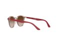 Ray-Ban Gafas de Sol RJ 9064S 7123/13