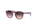 Ray-Ban Gafas de Sol RJ 9064S 716246