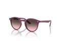 Ray-Ban Gafas de Sol RJ 9064S 716246