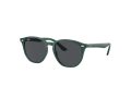 Ray-Ban Gafas de Sol RJ 9070S 713087