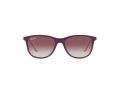 Ray-Ban Gafas de Sol RJ 9077S 71348G