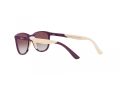 Ray-Ban Gafas de Sol RJ 9077S 71348G