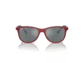Ray-Ban Gafas de Sol RJ 9077S 71606G