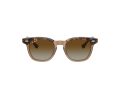 Ray-Ban Gafas de Sol RJ 9098S 7152T5