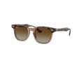 Ray-Ban Gafas de Sol RJ 9098S 7152T5
