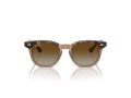 Ray-Ban Gafas de Sol RJ 9098S 7152T5