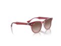 Ray-Ban Gafas de Sol RJ 9098S 715413