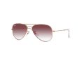 Ray-Ban Junior Aviator Gafas de Sol RJ 9506S 291/8H_50