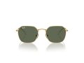 Ray-Ban Gafas de Sol RJ 9594S 223/71