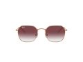 Ray-Ban Gafas de Sol RJ 9594S 291/8H