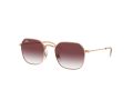 Ray-Ban Gafas de Sol RJ 9594S 291/8H