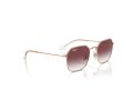 Ray-Ban Gafas de Sol RJ 9594S 291/8H