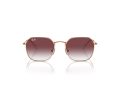 Ray-Ban Gafas de Sol RJ 9594S 291/8H