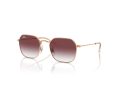 Ray-Ban Gafas de Sol RJ 9594S 291/8H