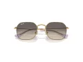 Ray-Ban Gafas de Sol RJ 9594S 292/11