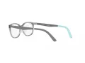 Ray-Ban Gafas Graduadas RY 1614D 3908