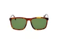 Replay Gafas de Sol RY 485V 02S
