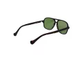 Replay Gafas de Sol RY 486V 02S
