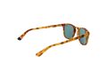 Superdry Gafas de Sol SDS Roku 170