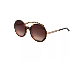 Sandro Gafas de Sol SD 6042 170