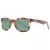 Skechers Gafas de Sol SE 6216 56R