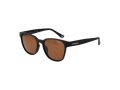 Skechers Gafas de Sol SE 6277 01H