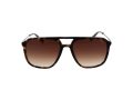 Fila Gafas de Sol SFI 215 722Y