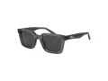 Fila Gafas de Sol SFI 897 06XK