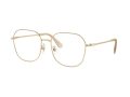 Swarovski Gafas Graduadas SK 1009D 4013
