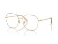 Swarovski Gafas Graduadas SK 1009D 4013