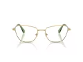 Swarovski Gafas Graduadas SK 1018 4017