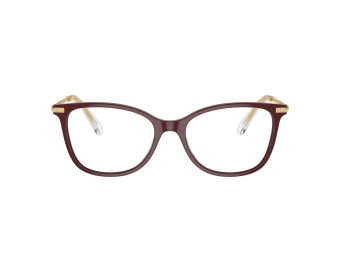 Swarovski Gafas Graduadas SK 2010 1008_52