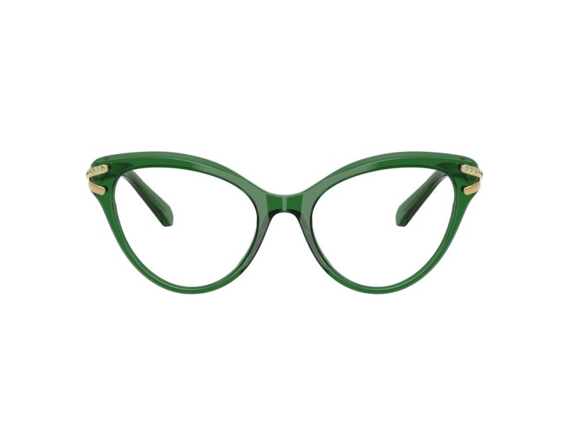 Swarovski Gafas Graduadas SK 2030 1064