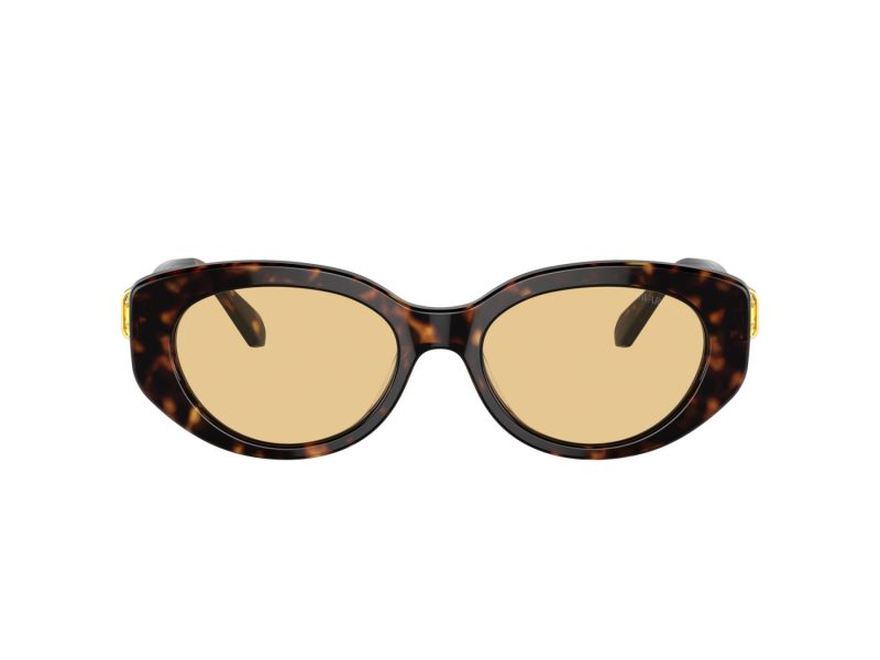 Swarovski Gafas de Sol SK 6002 1002/8
