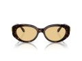 Swarovski Gafas de Sol SK 6002 1002/8