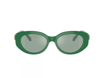 Swarovski Gafas de Sol SK 6002 10079C