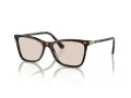Swarovski Gafas de Sol SK 6004 1002M4