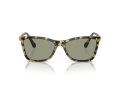 Swarovski Gafas de Sol SK 6004 1009/2