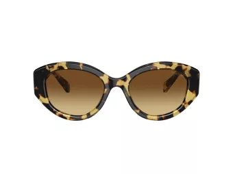 Swarovski Gafas de Sol SK 6005 100913