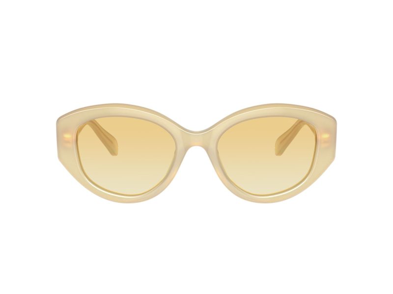 Swarovski Gafas de Sol SK 6005 10232Q