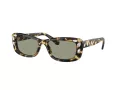 Swarovski Gafas de Sol SK 6008 1009/2