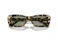 Swarovski Gafas de Sol SK 6008 1009/2