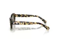 Swarovski Gafas de Sol SK 6008 1009/2