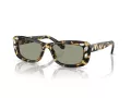 Swarovski Gafas de Sol SK 6008 1009/2
