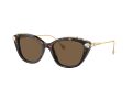 Swarovski Gafas de Sol SK 6010 100273